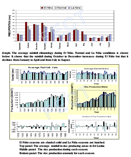 /files/fect//ricegraph.png